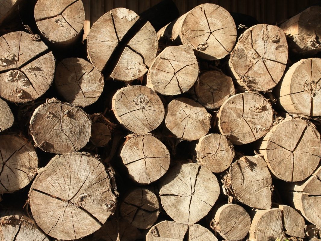 bûches de bois entassées