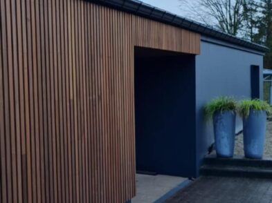 Maison noir avec bardage en bois foncé (point de vue 4)