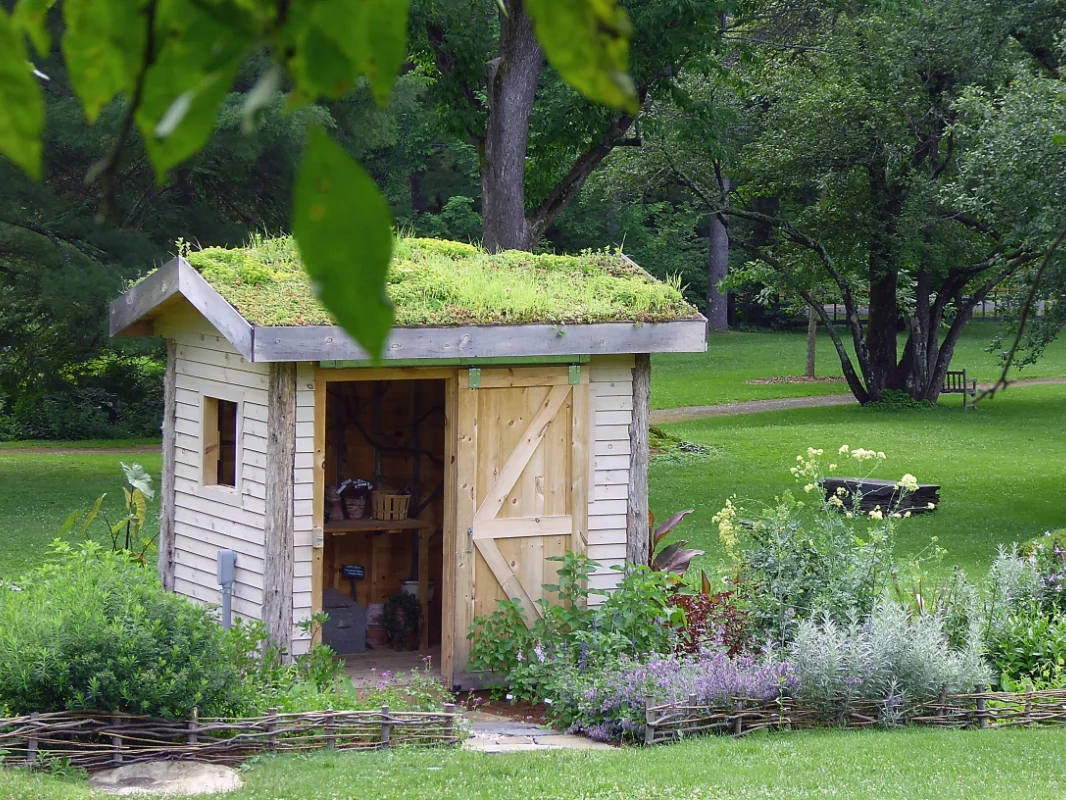 abri-toit-vegetal Abri de jardin en bois avec un toit naturel en pelouse, entouré de plantes, dans un parc verdoyant.