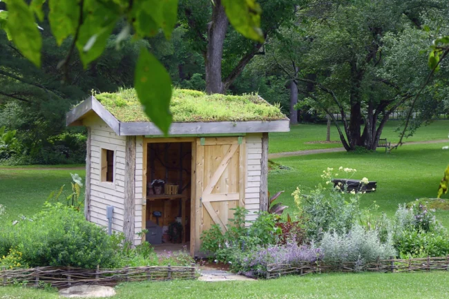 Abri de jardin en bois avec un toit naturel en pelouse, entouré de plantes, dans un parc verdoyant.