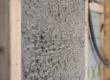Mur avec structure en bois recouverte d'un isolant en ouate de cellulose